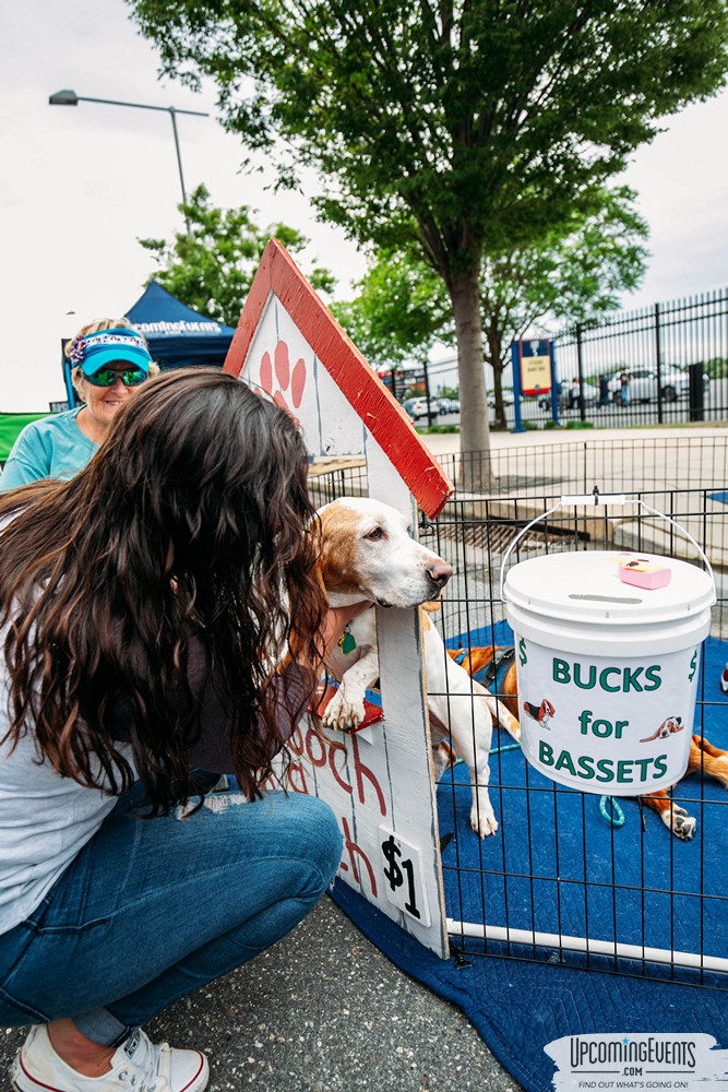 Philly All Star Festival 2019 - Gallery 4