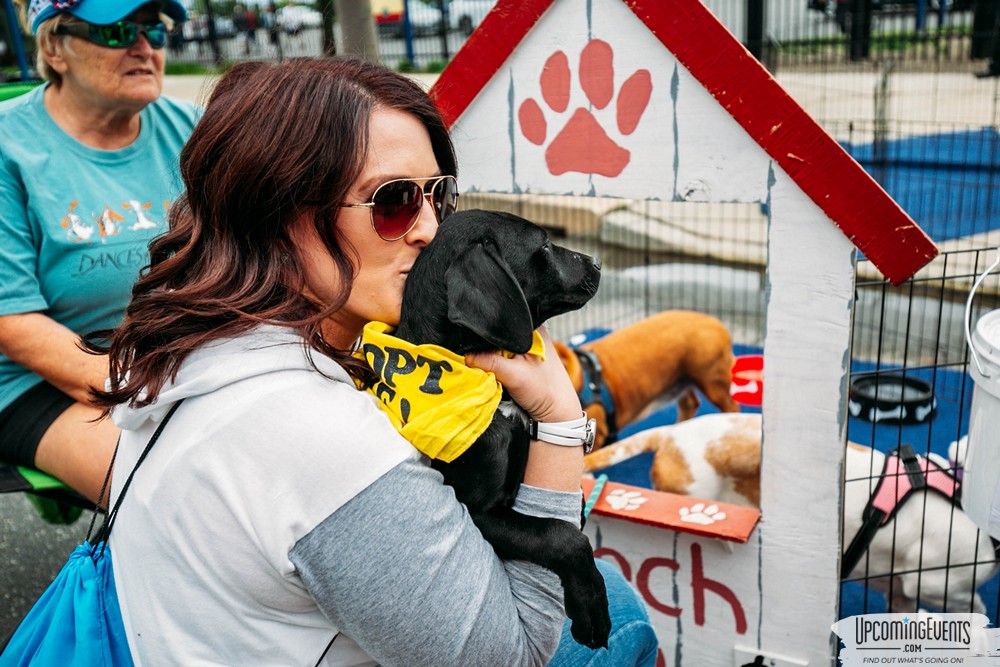 Philly All Star Festival 2019 - Gallery 4