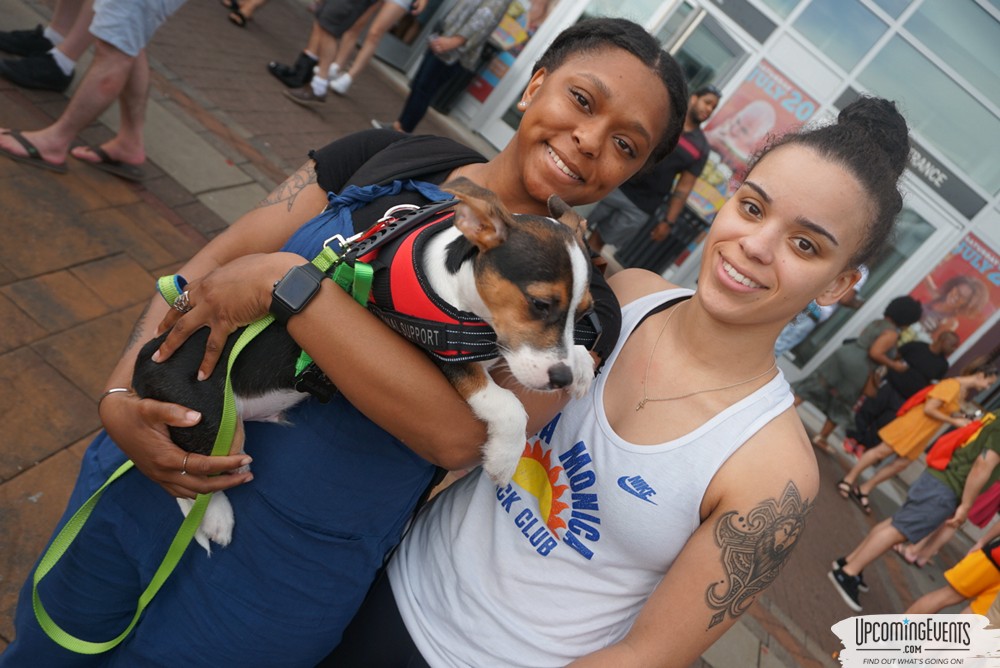 Philly Taco Festival 2019