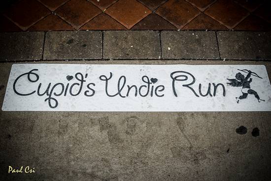 Cupid's Undie Run 2014