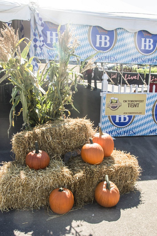 Oktoberfest Live! Craft Beer Festival 2014 (Gallery 4)