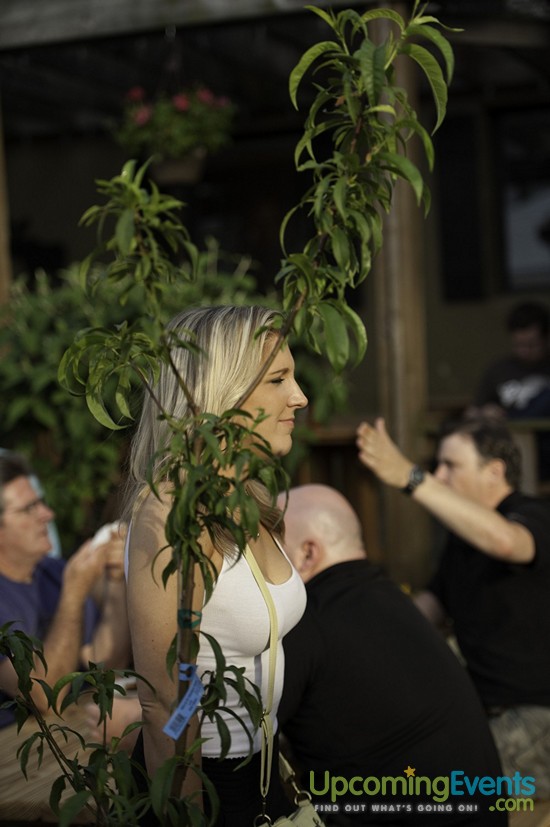 Spring Fest 2015 @ The Ugly Moose