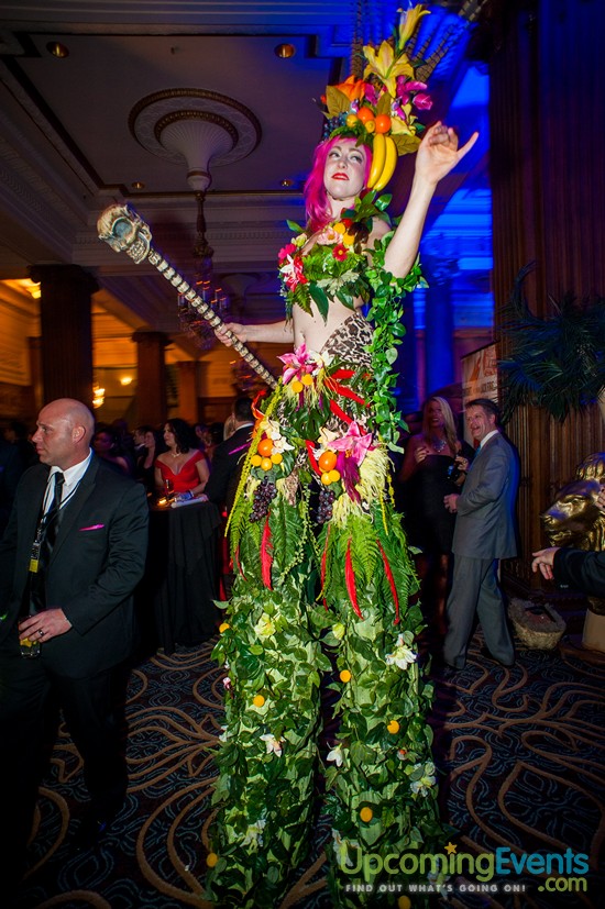 Hair O' The Dog 2016 (Gallery 2)