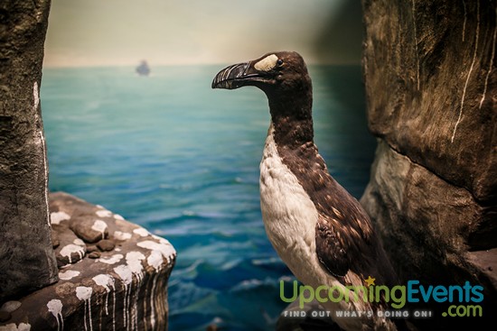 Philadelphia Restaurant Festival 2016