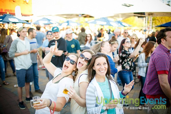 Springfest Live! 2016 (Gallery A)