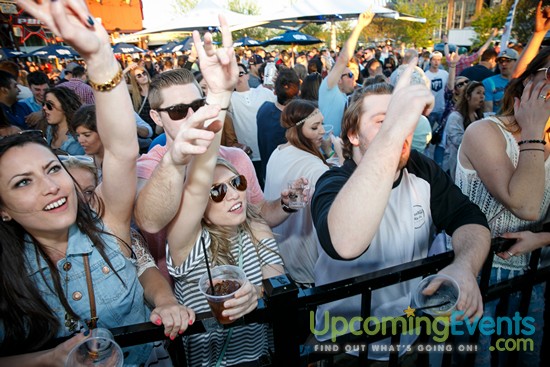 Springfest Live! 2016 (Gallery A)