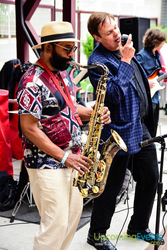 All Star Craft Beer & Wine Festival - Gallery 2