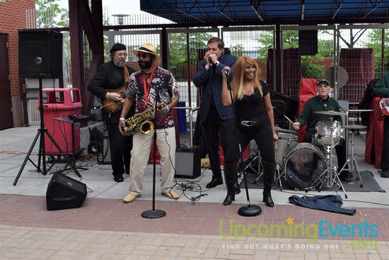 All Star Craft Beer & Wine Festival - Gallery 3