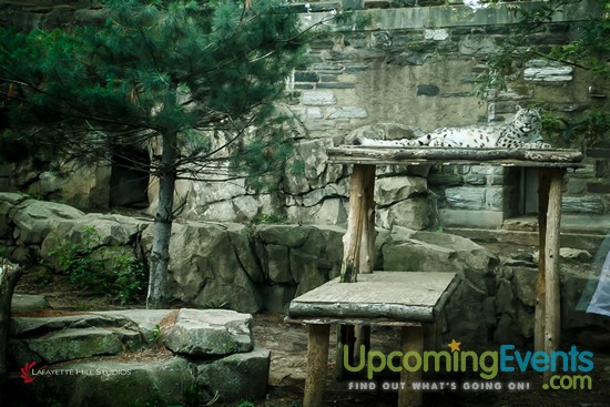 Summer Ale Festival at The Zoo!