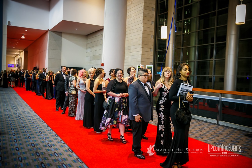 Black Tie Tailgate 2018 (The Red Carpet)