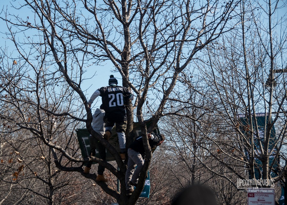 Eagles Parade Photos (Gallery 1)