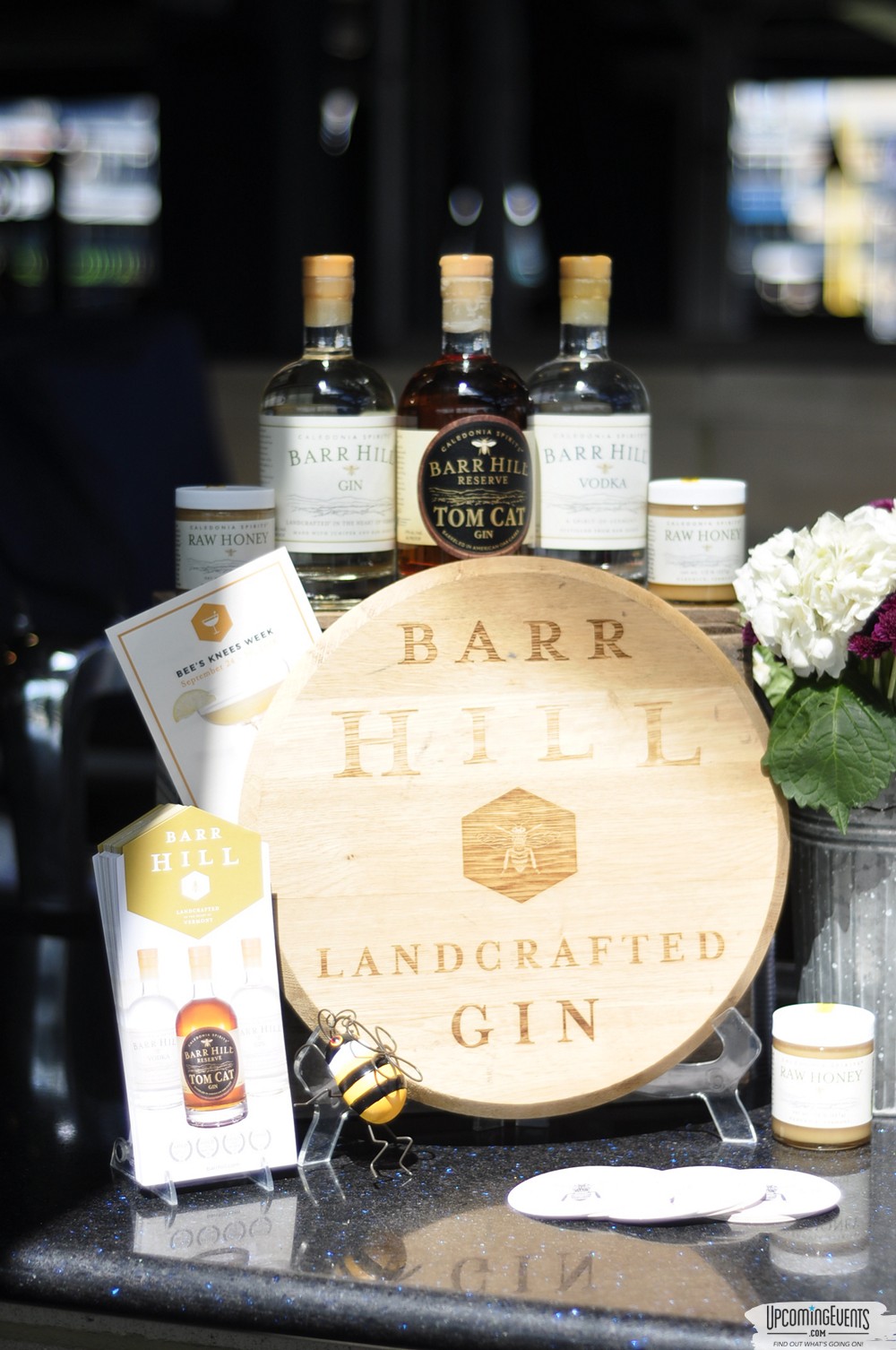 Pittsburgh All Star Festival 2018 - Gallery 6