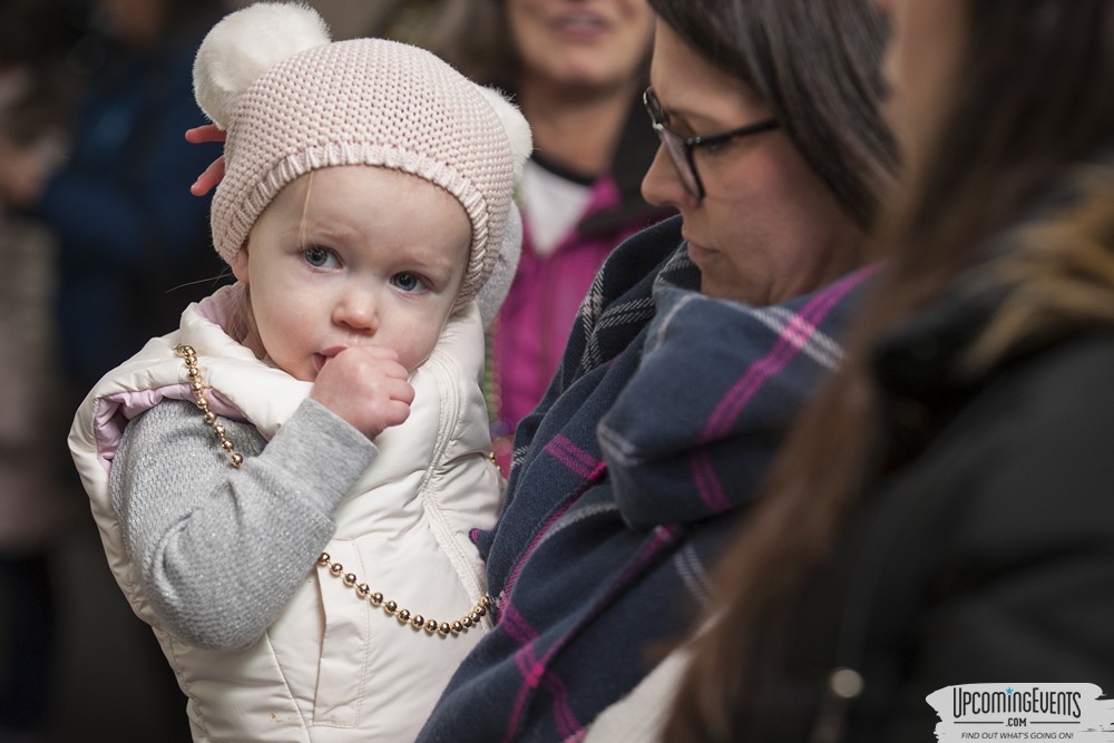 Mummers Mardi Gras Festival (Candid Gallery 1)