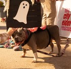 The Philly All-Star Festival 2023 (Gallery 1)