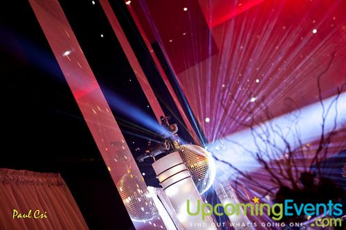 Hair O' The Dog (Gallery B)