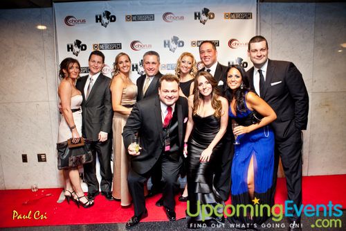 Hair O' The Dog (Gallery B)