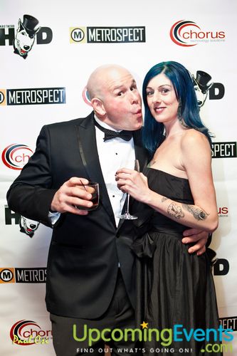 Hair O' The Dog (Gallery B)