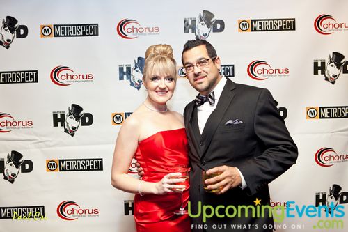 Hair O' The Dog (Gallery B)