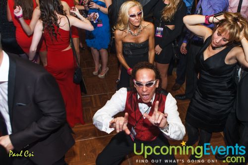 Hair O' The Dog (Gallery A)