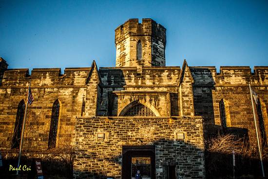 Cupid's Undie Run 2013!