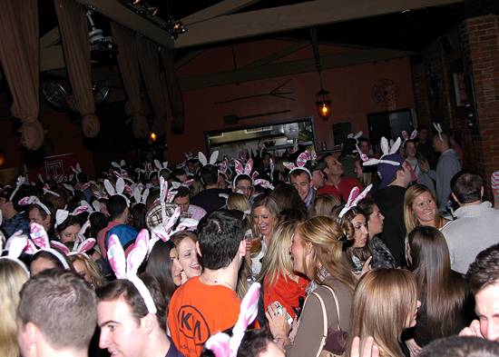 15th Annual Bunny Hop! (Gallery C)