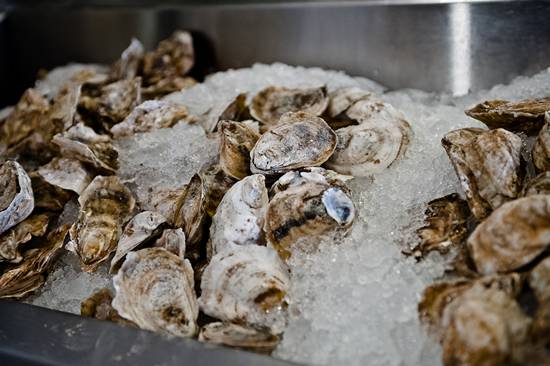 The Philadelphia Craft Beer & Oysterfest (Gallery A)