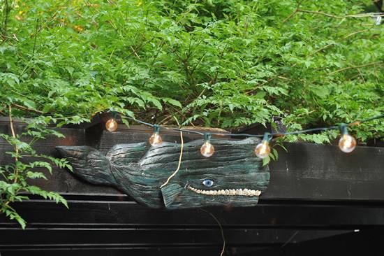 Doc Magrogan's Deck Launch