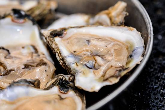 Doc Magrogan's Deck Launch