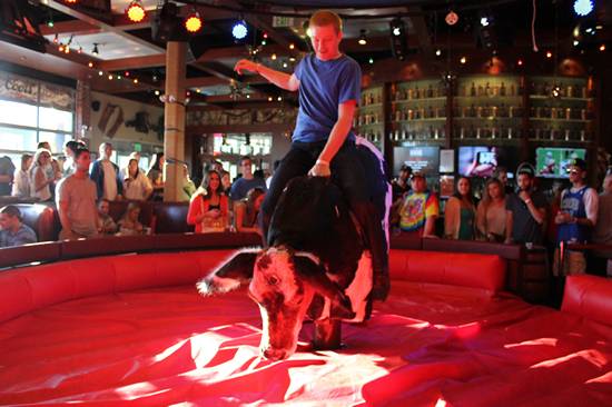 Xtoberfest 2013 (Gallery A)