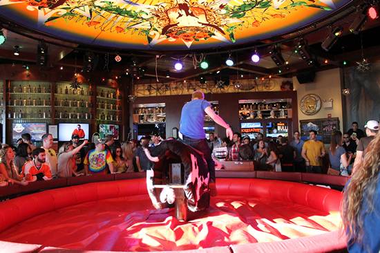 Xtoberfest 2013 (Gallery A)