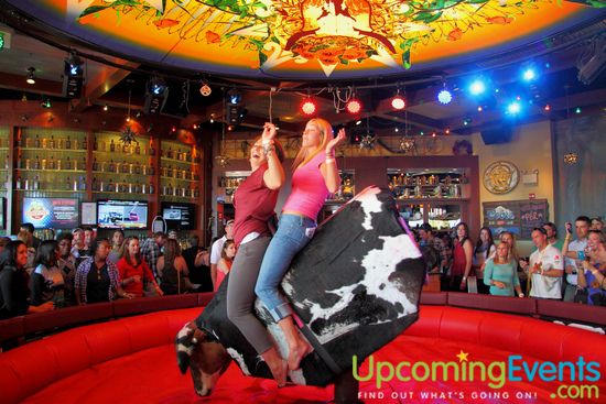 Xtoberfest 2013 (Gallery F)