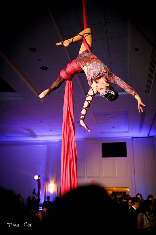 Hair 'O The Dog 2014