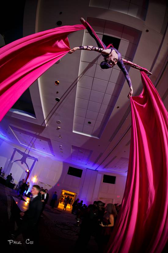 Hair 'O The Dog 2014