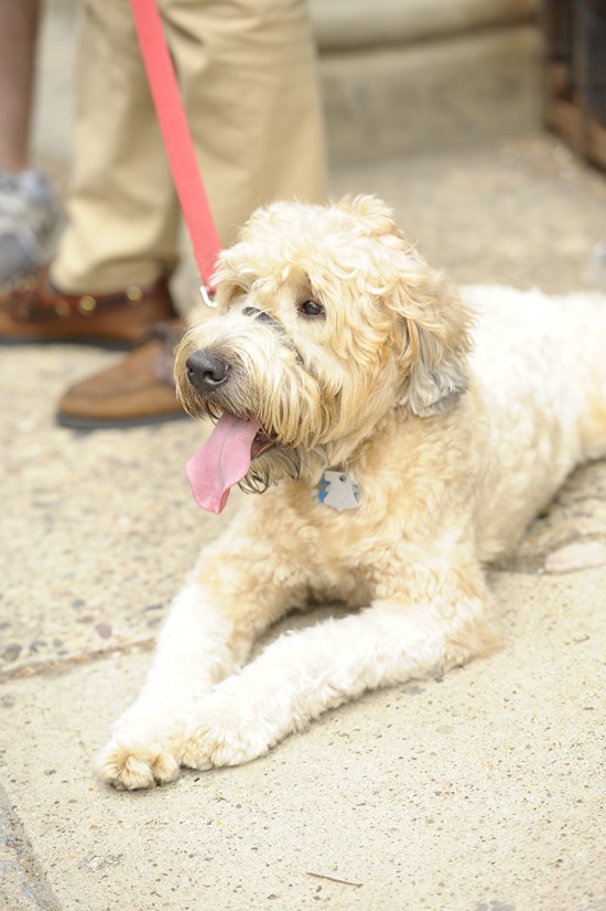 Night Market - Old City