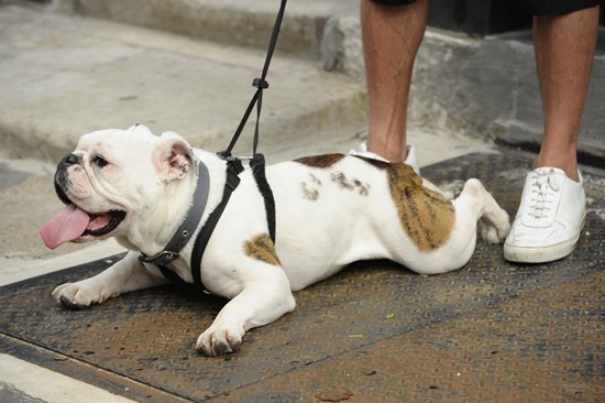 Night Market - Old City