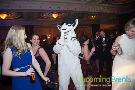 Hair O' The Dog 2016 (Gallery 2)