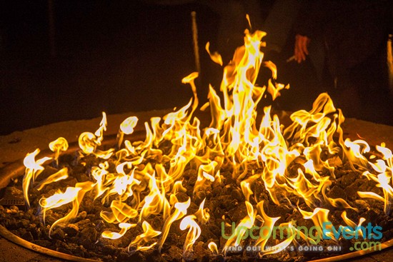 Winterfest Live! 2016 (Gallery B)