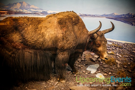 Philadelphia Restaurant Festival 2016