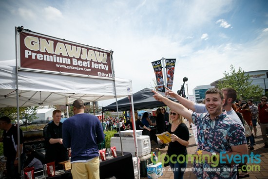 Springfest Live! 2016 (Gallery A)