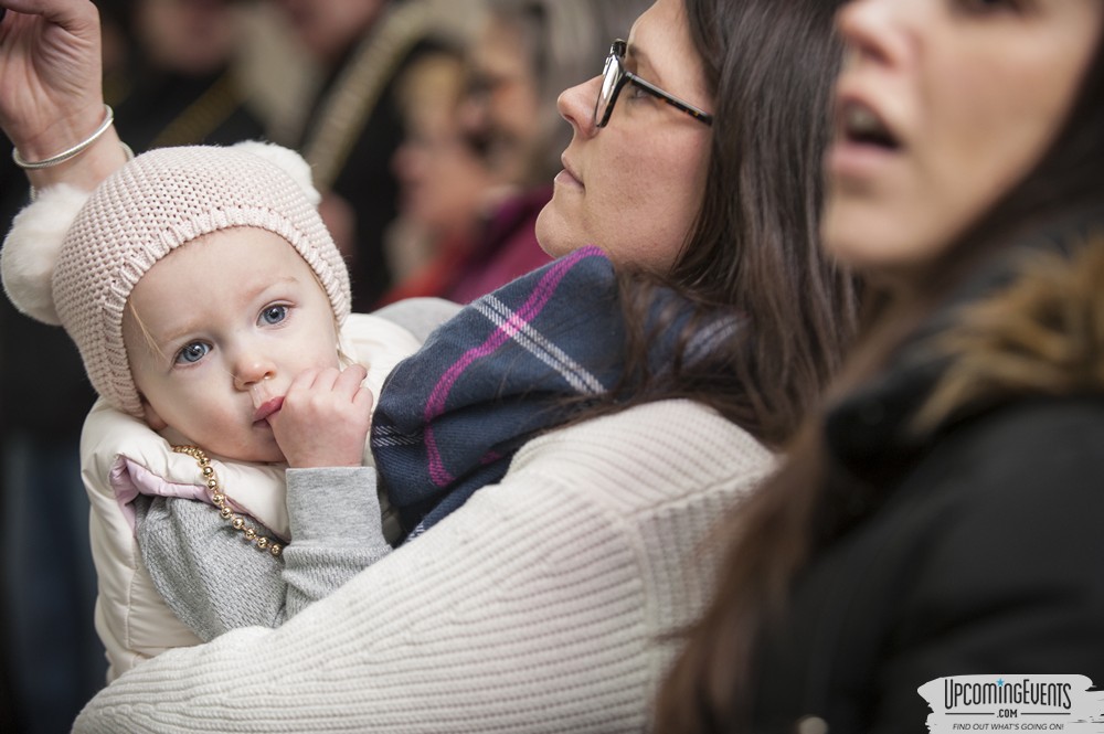 Mummers Mardi Gras Festival (Candid Gallery 1)
