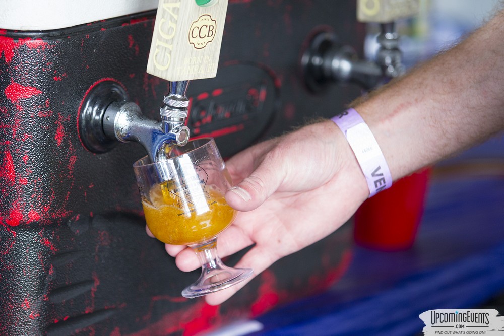 Philly All Star Festival 2019 - Gallery 6