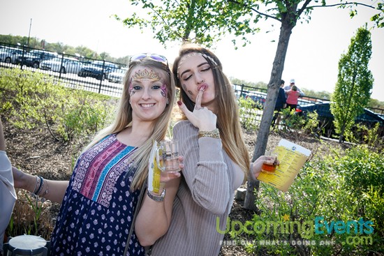 Springfest Live! 2016 (Gallery A)