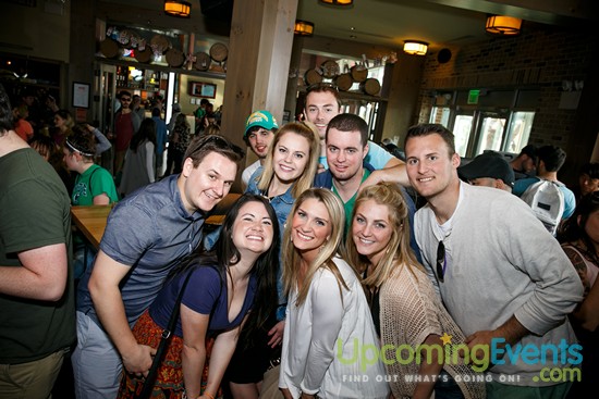 Springfest Live! 2016 (Gallery A)