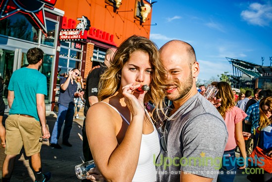 Springfest Live! 2016 (Gallery A)