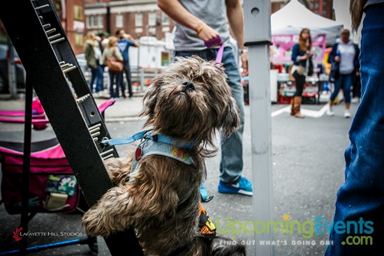 Midtown Festival 2016