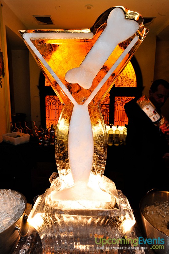 15th Annual Hair O' The Dog (Candids)