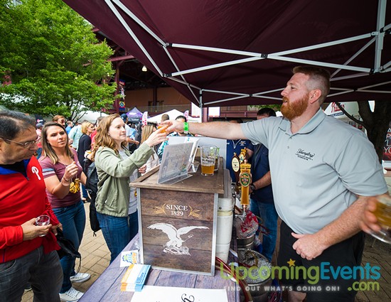 All Star Craft Beer & Wine Festival - Gallery 6