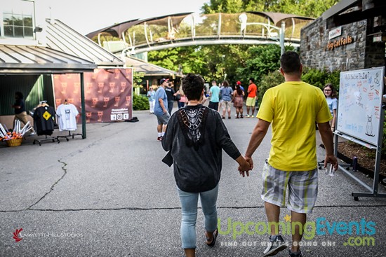 Summer Ale Festival at The Zoo!