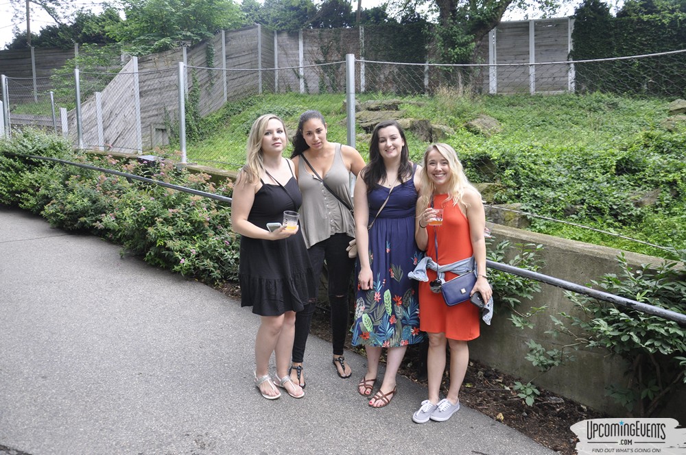 Summer Ale Festival at The Phladelphia Zoo