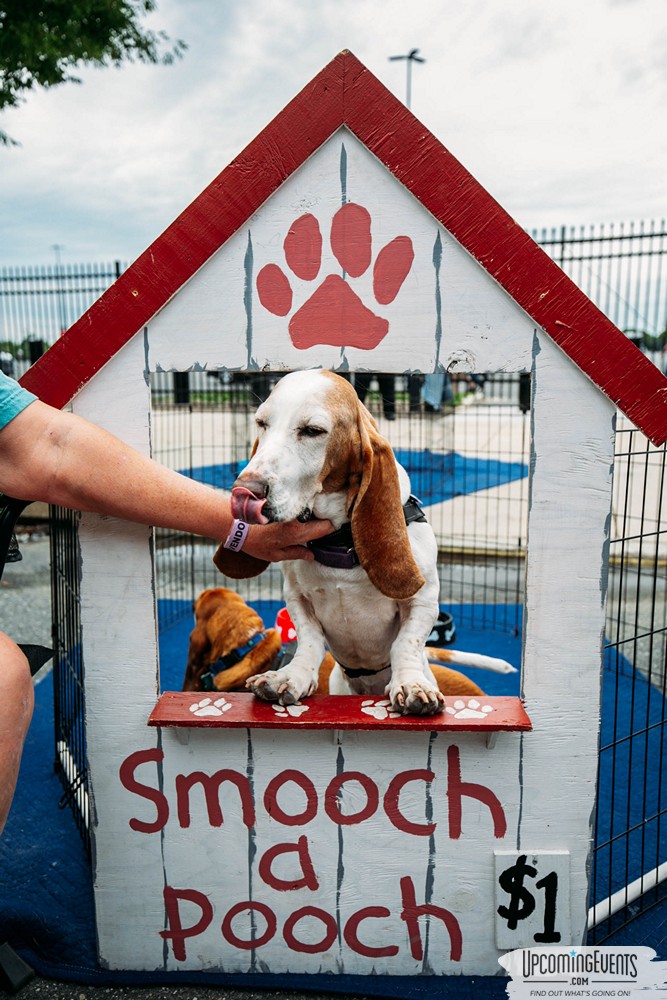 Philly All Star Festival 2019 - Gallery 4